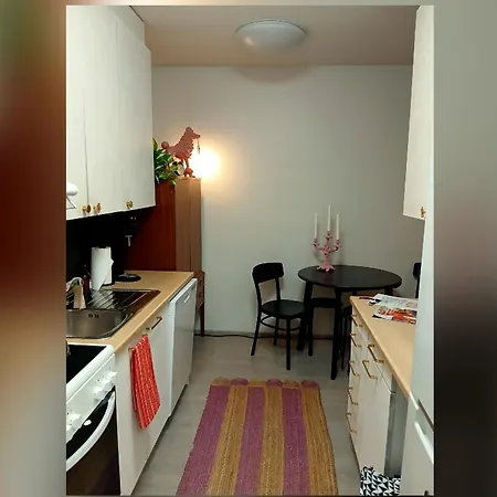 Apartament The Riverside For 4 Persons, In The Center Of Rovaniemi